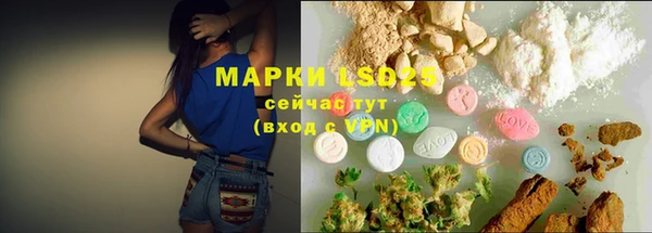прущие грибы Новодвинск