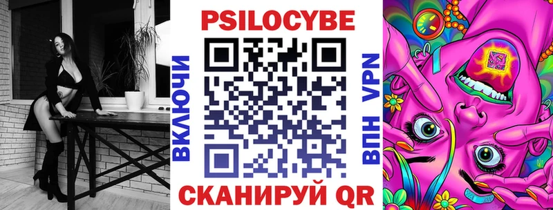 Псилоцибиновые грибы Psilocybe Александровское