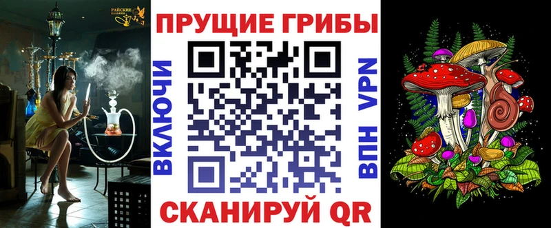 Псилоцибиновые грибы Cubensis  гидра сайт  Александровское  как найти  