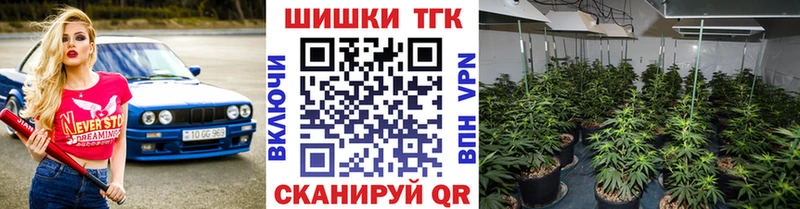 Конопля OG Kush Александровское